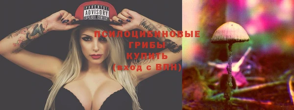 ПСИЛОЦИБИНОВЫЕ ГРИБЫ Мензелинск