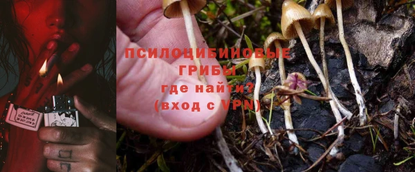 соль ск Тайга